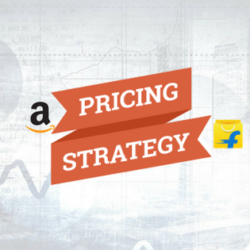 Product Pricing strategies for Amazon & Flipkart Seller.